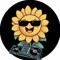 sunflowers