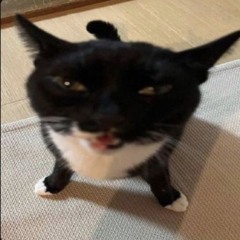 kiggyfunniboi