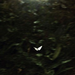 Somewhere We Go