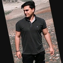 amir_hayati