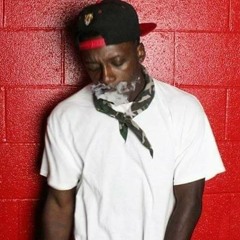 Hatti3$birdS.l.I.m99