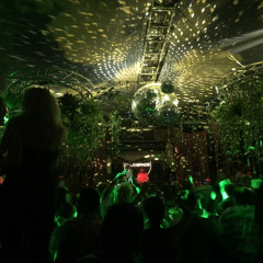 DJ Tulip