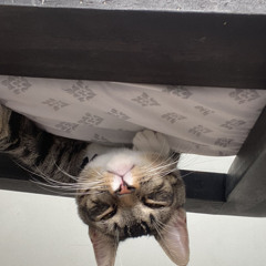 SAMU