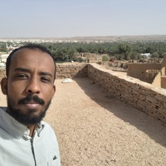 mohamd moniem barri