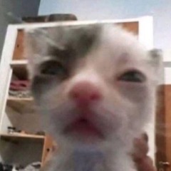 Chuyến Xe Cuộc Đời Remix-Ngọc Vĩ(demo)