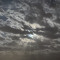 خُلود