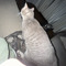 supawup0