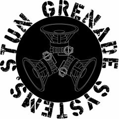 Stun Grenade Systems