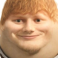 BOGA