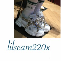 lilscam220x