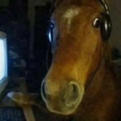 Honkery_bonkery