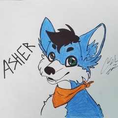 Asherthefox