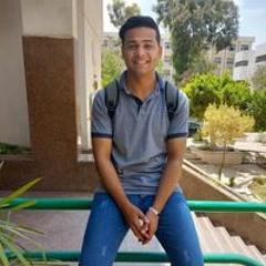 Mohamed Tarek