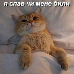 stasykr