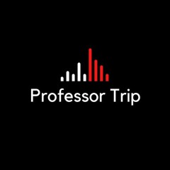 TheRealProfessorTrip