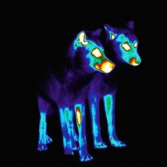 SILICAPUP