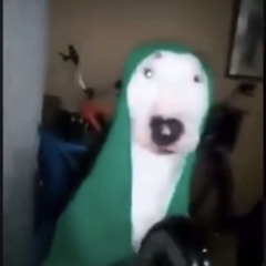 Arrxz
