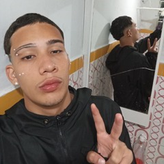 ph ribeiro