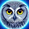 Pelėdų Paslaptys/Secrets of Owls