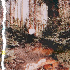 MOON CHYLD 🌙🐺🌑