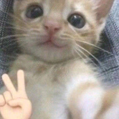 mak_tabak