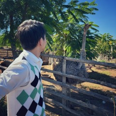 visitnov_xviii