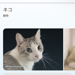 渦になる