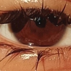 زهراء