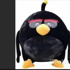 Bob_Rick