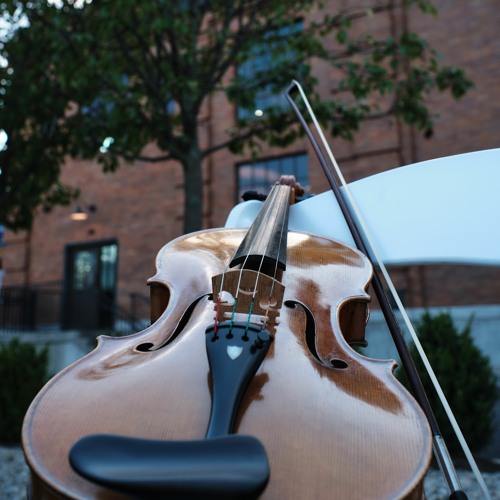 Stream Harry Potter String Quartet by Elegant Entertainment Strings