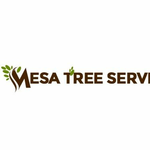 Mesa Tree Service Pros’s avatar