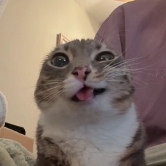 Rigby
