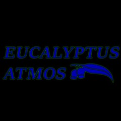 Eucalyptus Atmos