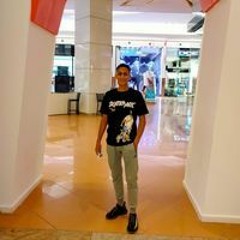 Mahmoud E Abdelshafi
