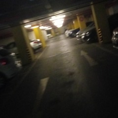 asil
