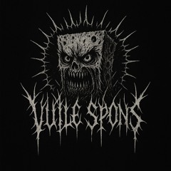 Vuile Spons