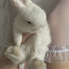 ♡