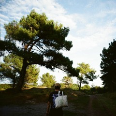Mert