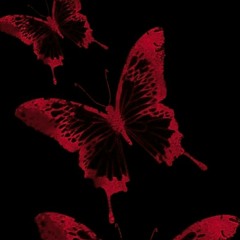 rosemaryserrano@gmail.com