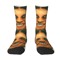 aphextwinsocks