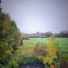 Meccles