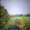Meccles