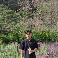Viết Thịnh Lê