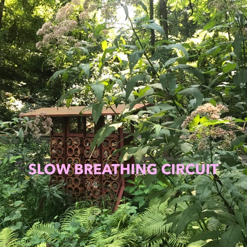 Slow Breathing Circuit’s avatar
