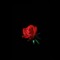 Ghost - LadiesLoveGhost