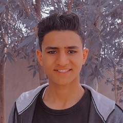 Mohammed Al3okaly
