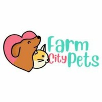 buy cat accessories online