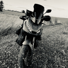 Balou_dla_jungle92