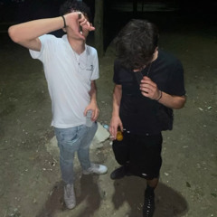 cardo