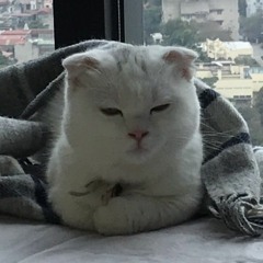 namaste